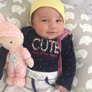 Meet your Posher, Robin